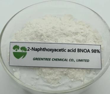 2-Naphthoxyacetic Acid BNOA Auxin 2-Naphthoxyacetic Acid BNOA Auxin