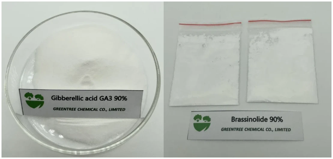GA3 brassinolide GA3 brassinolide