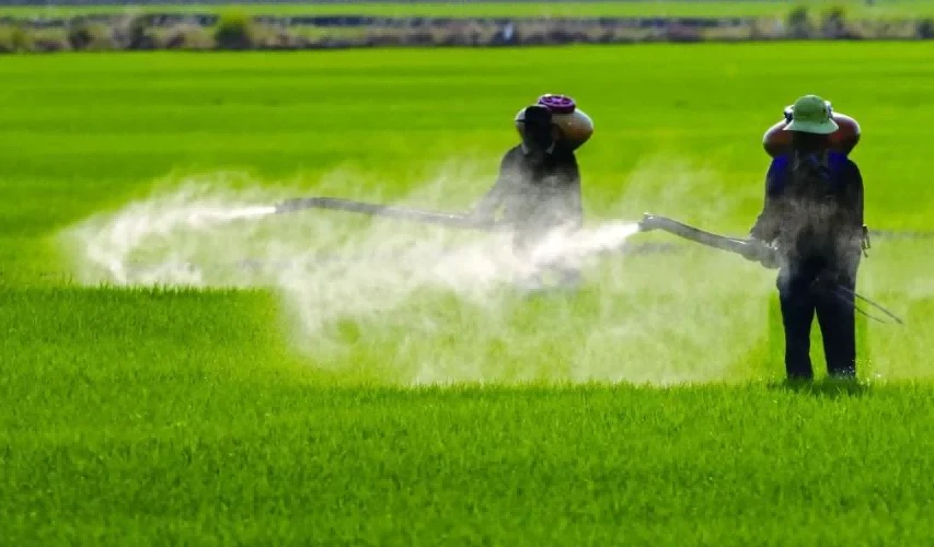 herbicide herbicide