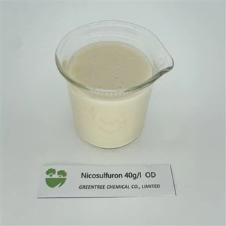 CAS NR. 111991-09-4 Nicosulfuron Herbicid 40 G/L OD